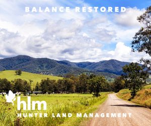 Hunter Land Management